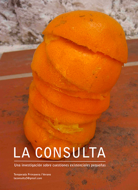 LA-CONSULTA